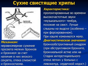 Хрипы в бронхах или легких