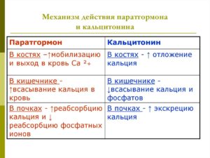 Нужно ли сдавать кальцитонин, если уровень паратгормона повышен,