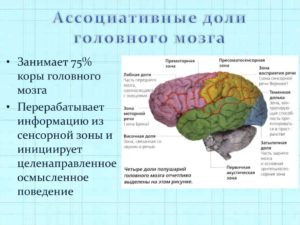 О чем говорят негрубые фокальные нарушения слева в теменно-центрально-височной доле?