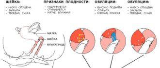 Нерегулярные месячные после родов