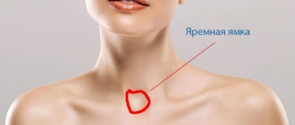 Образование в яремной впадине