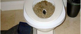 Очень часто хожу в туалет по маленькому,
