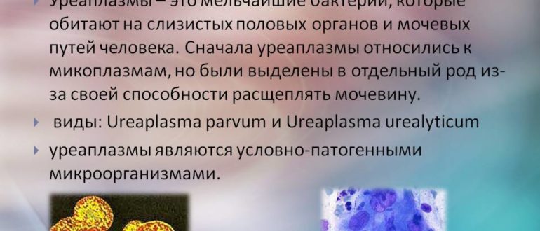 Не могу вылечить уреаплазму