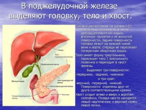 Образование в теле-хвосте поджелудочной