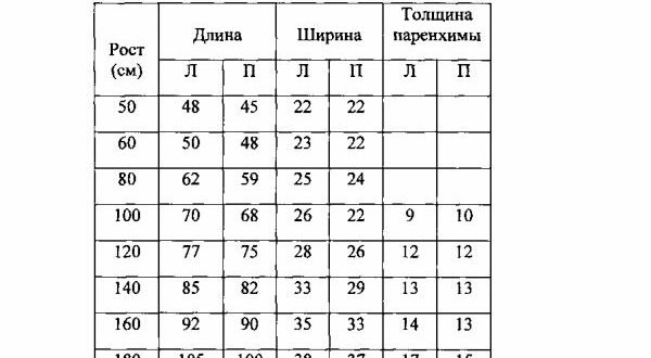 Норма почки у женщин по возрасту таблица. Толщина паренхимы почки в норме у взрослых. Толщина паренхимы почки в норме. Размер почки взрослого человека норма по возрасту у женщин. Паренхима почки норма у женщин по возрасту таблица.