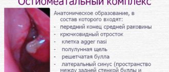 Остиомеатальный комплекс