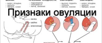 Непонятные ощущения после овуляции