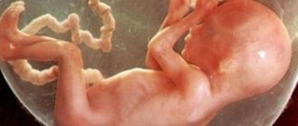 Не чувствуются шевеления на 5 месяце беременности