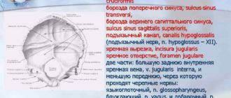Определяется некоторая продавленность борозды поперечного синуса