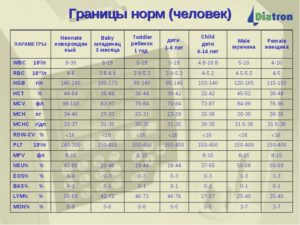 Общий анализ крови ребёнка 3 месяца