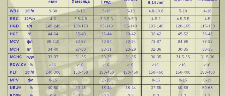 Общий анализ крови ребёнка 3 месяца