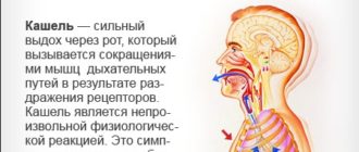 Откуда кашель?