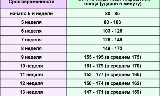 Нет сердцебиения у эмбриона