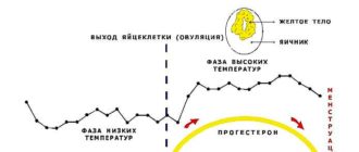 Низкая температура после месячных