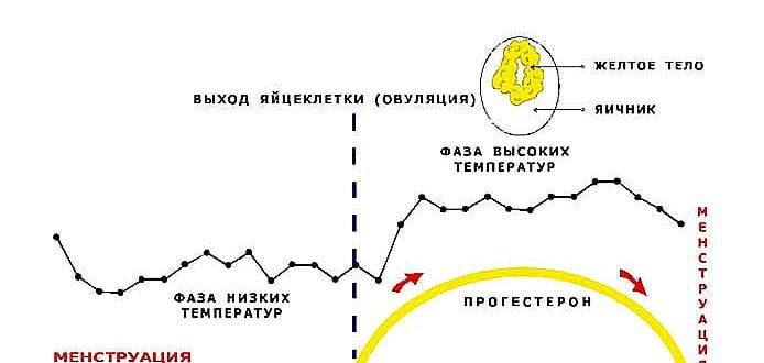 Низкая температура после месячных