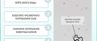 Оксалаты в моче при беременности