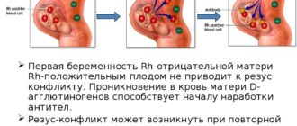 Неполное проникновение и беременность