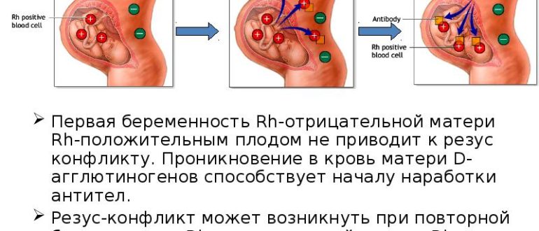 Неполное проникновение и беременность