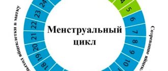 Не устанавливается цикл месячных