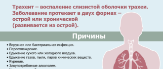 Хрипы в трахее при форсированном выдохе и боль в груди