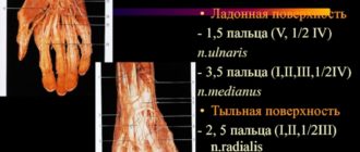 Гиперпараестезия 4 и 5 пальца левой кисти в районе иннервации n. Ulnaris