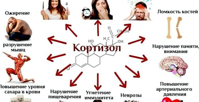 Чем снизить уровень кортизола у женщин препараты схема