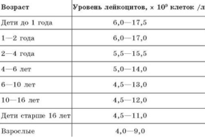 Низкие лейкоциты у ребёнка 2 лет