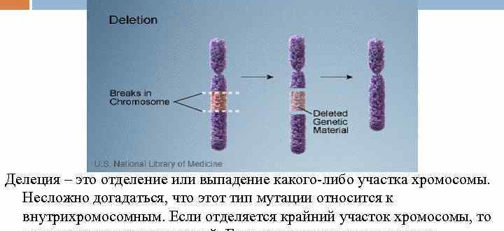 Обнаружена делеция хромосомы