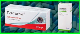 Пантогам и энцефабол