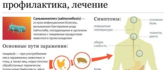 Обнаружили сальмонеллу у ребенка