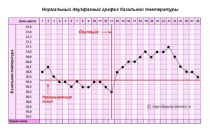 График базальной температуры, овуляция