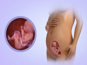 Ощущения во влагалище на 24 неделе беременности