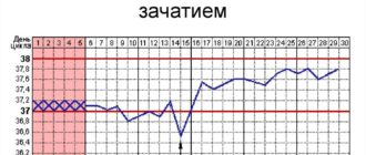 Па за неделю до овуляции