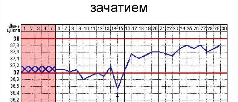 Па за неделю до овуляции