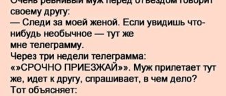 Очень ревнивый муж