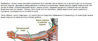 Печет сердце, немеет левая рука