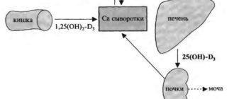 Гипервитаминоз Д и кальция?