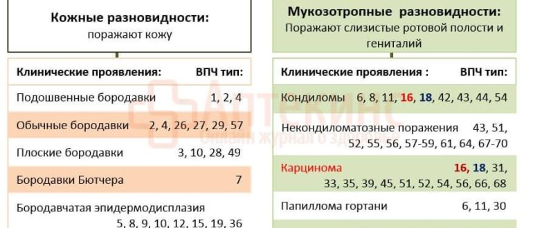 Вирус папилломы 31 33
