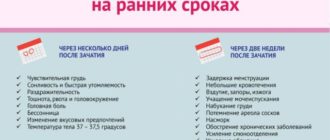 Нет признаков беременности