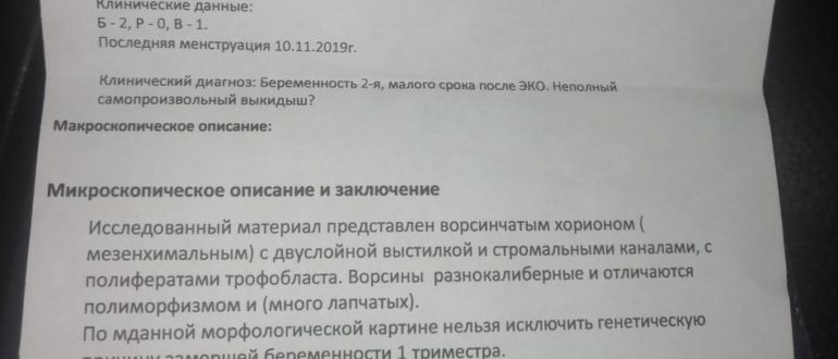 Гистология после выкидыша