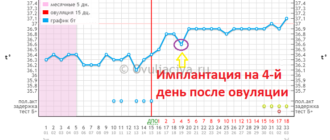 Незащищенный ПА после овуляции