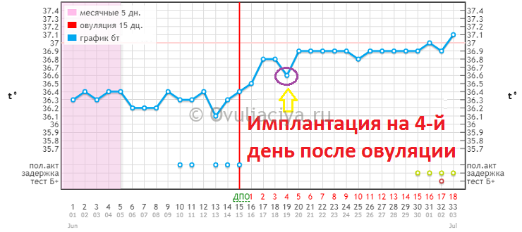 Незащищенный ПА после овуляции