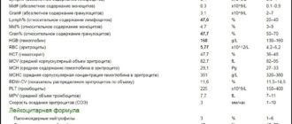 Незначительное повышение лейкоцитов в анализе крови