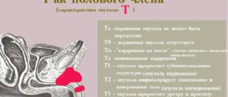 Опух половой орган