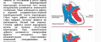 ООО и ДМЖП
