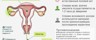 Незащищённый секс с попаданием спермы при начале приема Джес