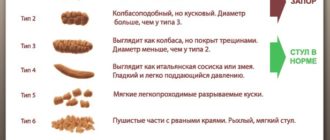 Овечий стул и антибиотики