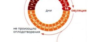 Незащищенный ПА в середине цикла