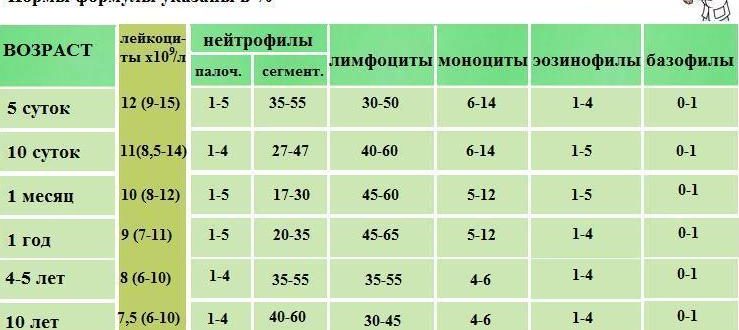 Нейтрофилы у ребенка упали до 2, а лимфоциты повысились до 89