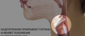 Ощущение кома в горле у мужа